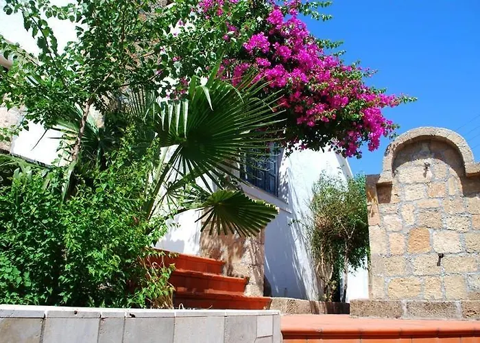 Theofilos Villa Lachania  photo
