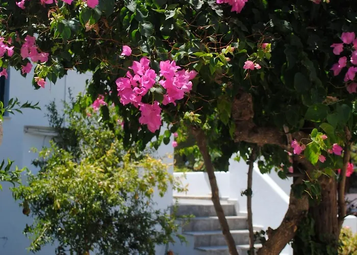 Apollonia Hotel 마소우리 사진